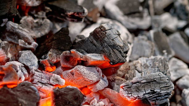 Close-up of premium hardwood lump charcoal burning cleanly.